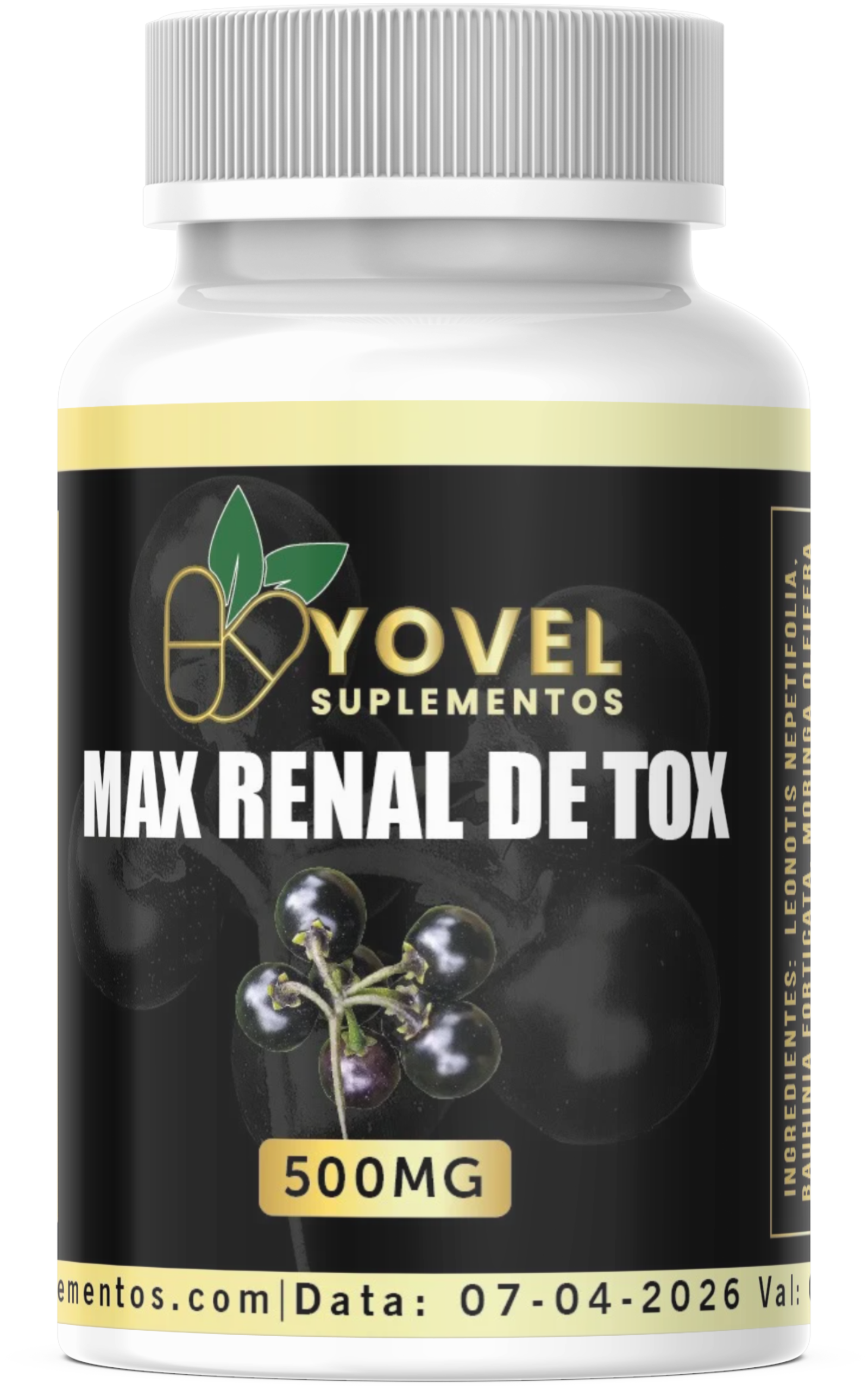 Max Renal Detox